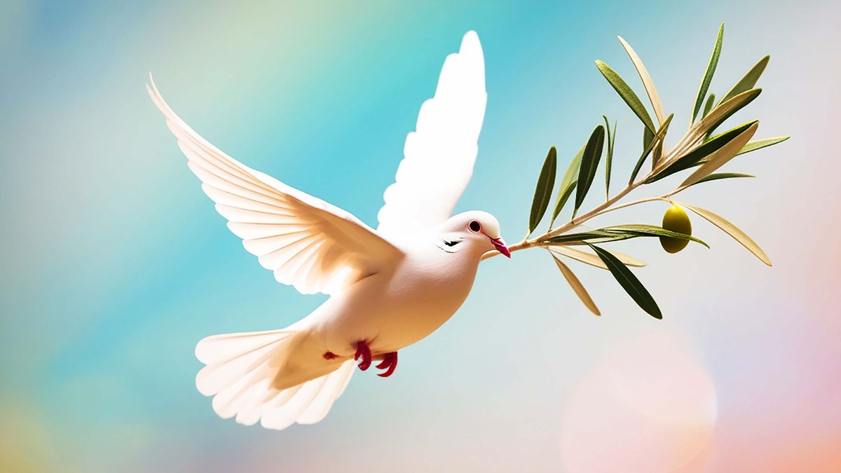 Egy fehér galamb olajágat tart a csőrében, háttérben lágy színek.